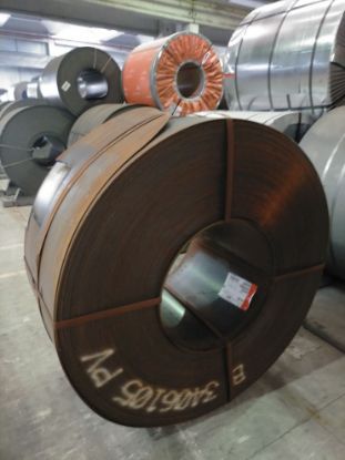 Immagine di 2203911054